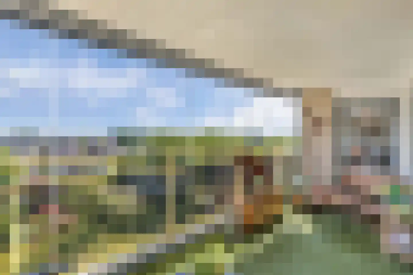 Beijerland 76 Emmeloord thumbnail 37