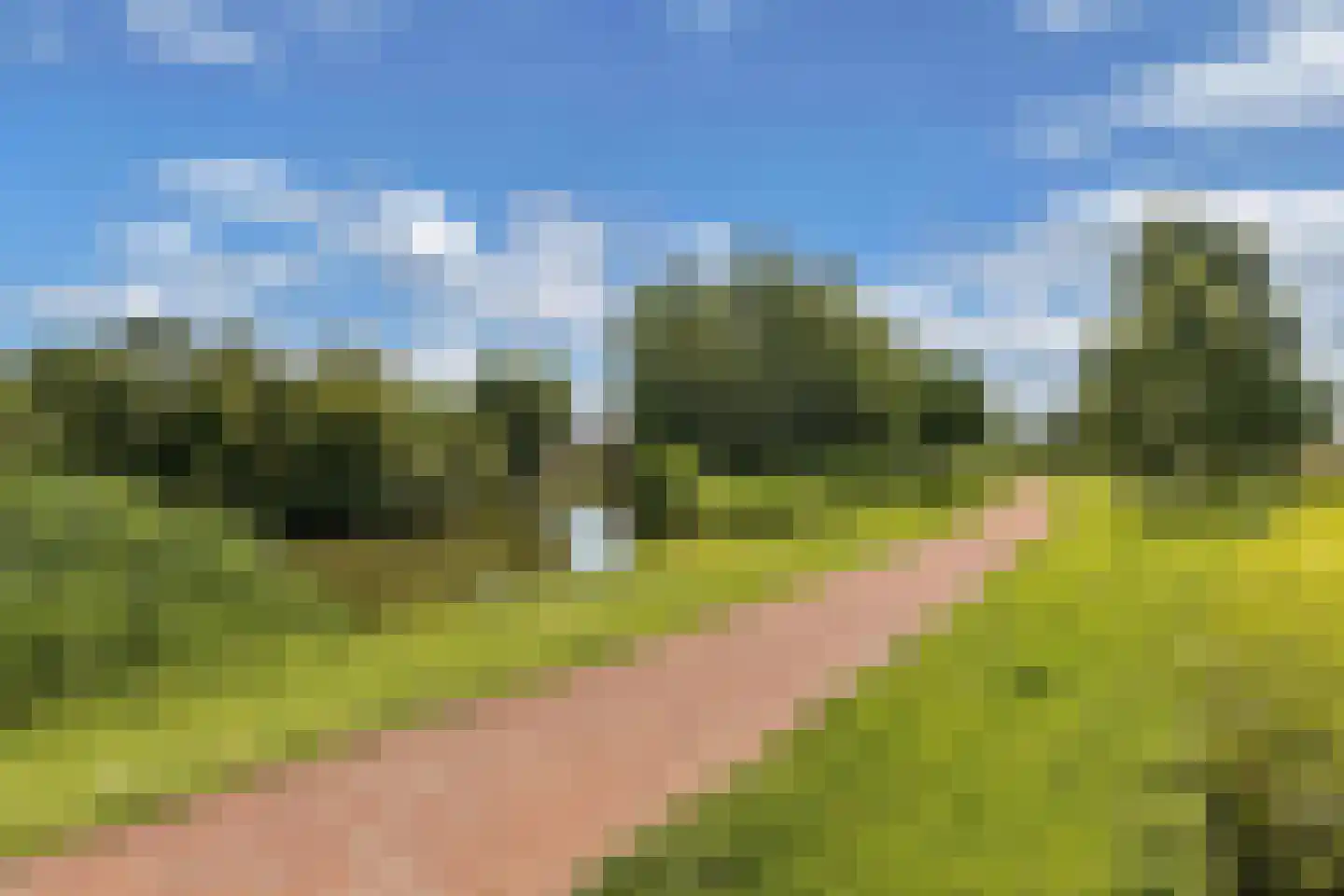 Beijerland 76 Emmeloord thumbnail 39