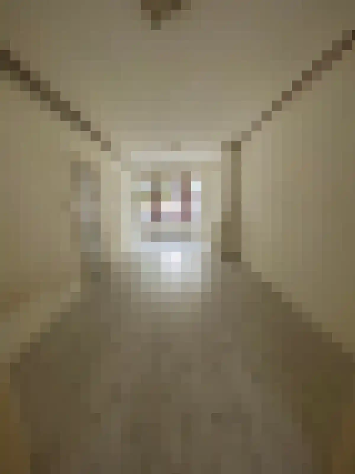 Beijerlandselaan 01 Rotterdam thumbnail 6