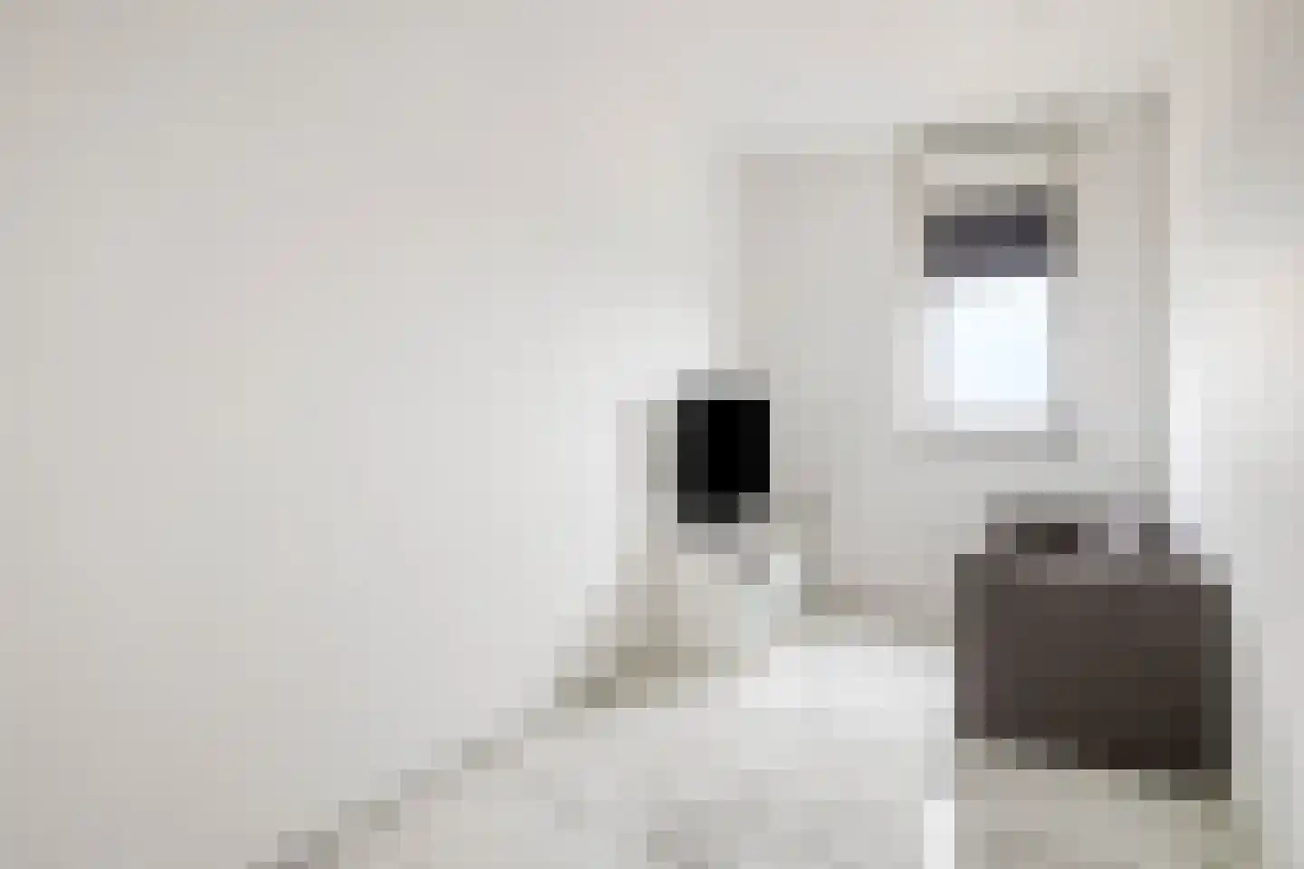 Beijerlandselaan 10 E Rotterdam thumbnail 30
