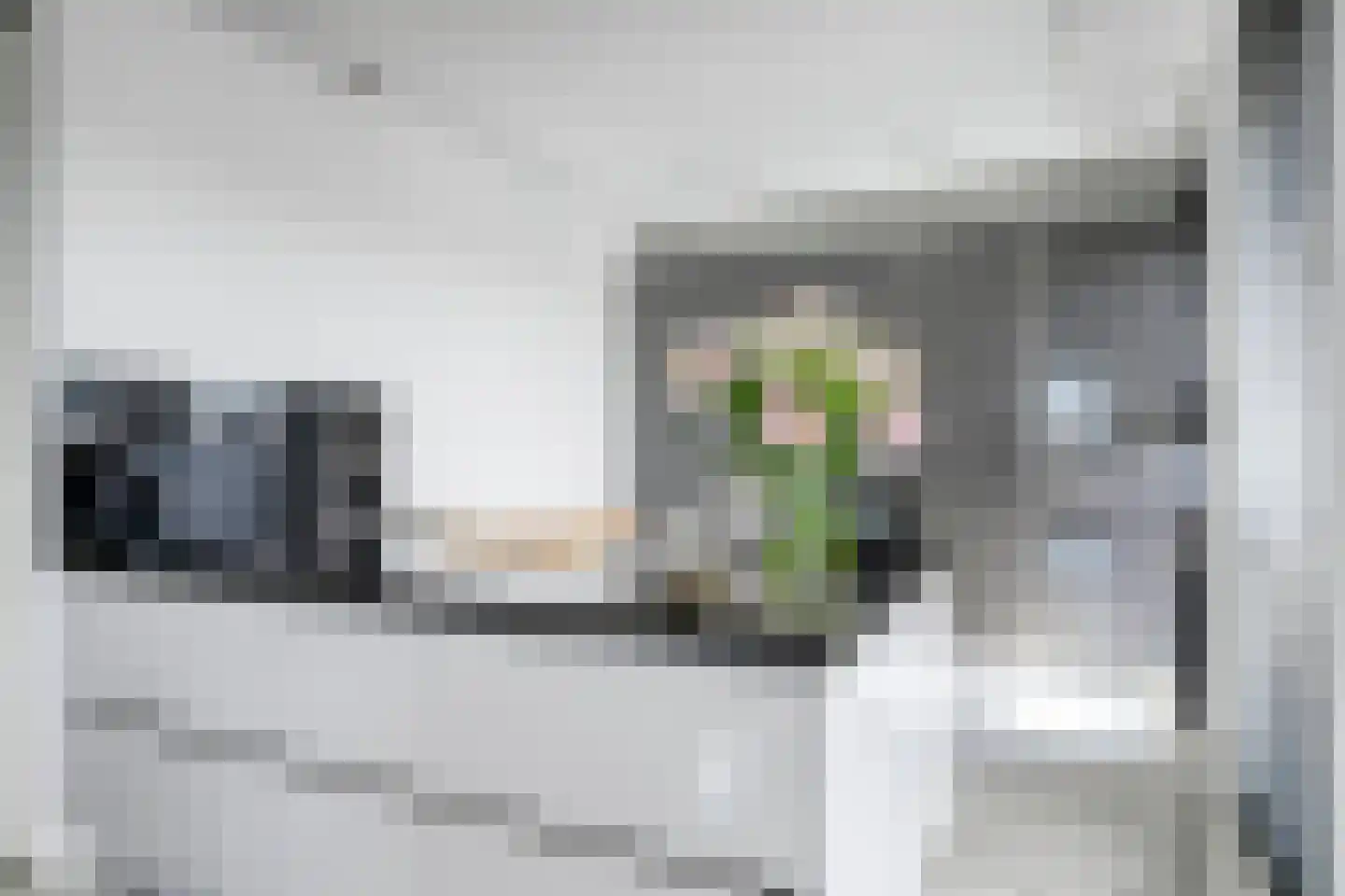 Beijerlandselaan 10 F Rotterdam thumbnail 14