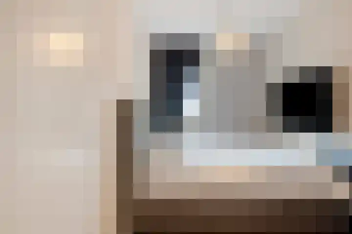 Beijerlandselaan 12 H Rotterdam thumbnail 12