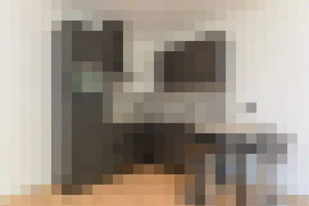 Beijerlandselaan 156 Rotterdam thumbnail 5