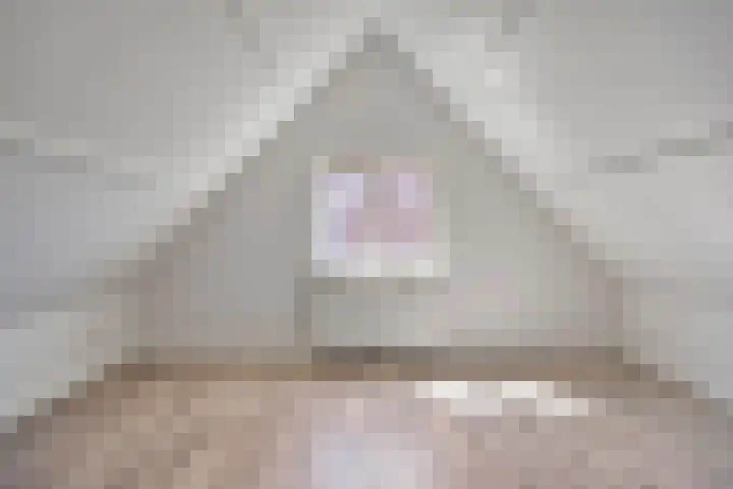 Beijerlandselaan 163 02 Rotterdam thumbnail 15