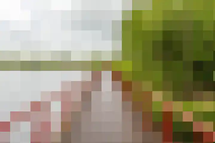 Beijerlandselaan 83 G Rotterdam thumbnail 6