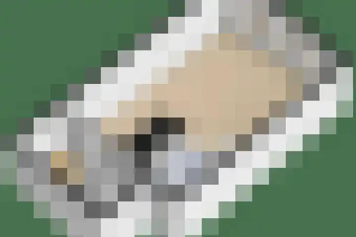 Beijerlandselaan 93 B Rotterdam thumbnail 15