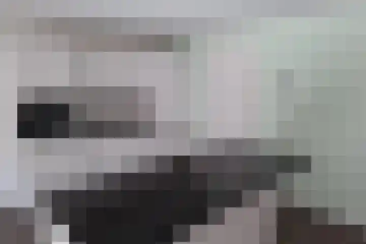 Beijerlandselaan 93 B Rotterdam thumbnail 6