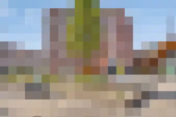 Beijerlandselaan 93 B Rotterdam thumbnail 7