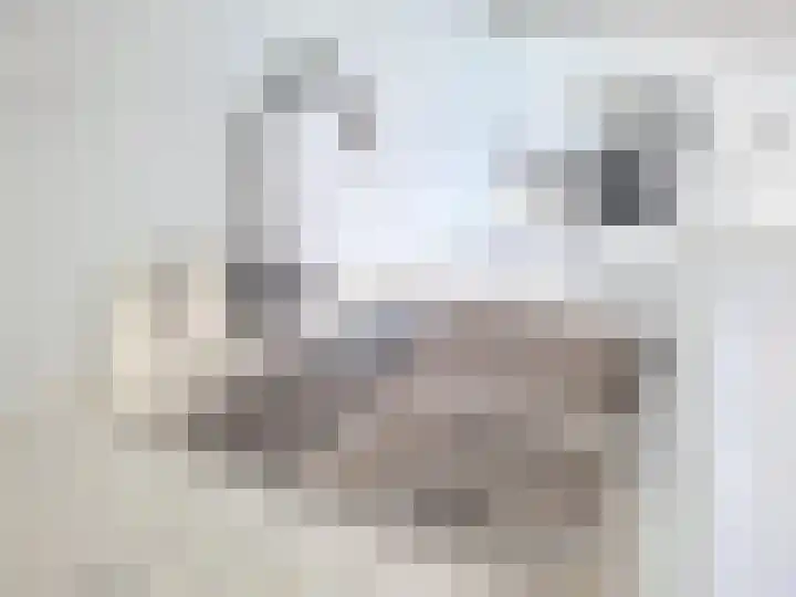 Beijerlandselaan 93 B Rotterdam thumbnail 7