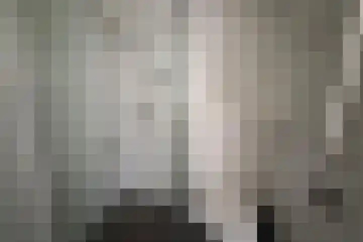 Beijerlandselaan 93 B Rotterdam thumbnail 8