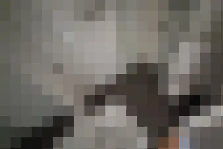 Beijerlandselaan 93 B Rotterdam thumbnail 9