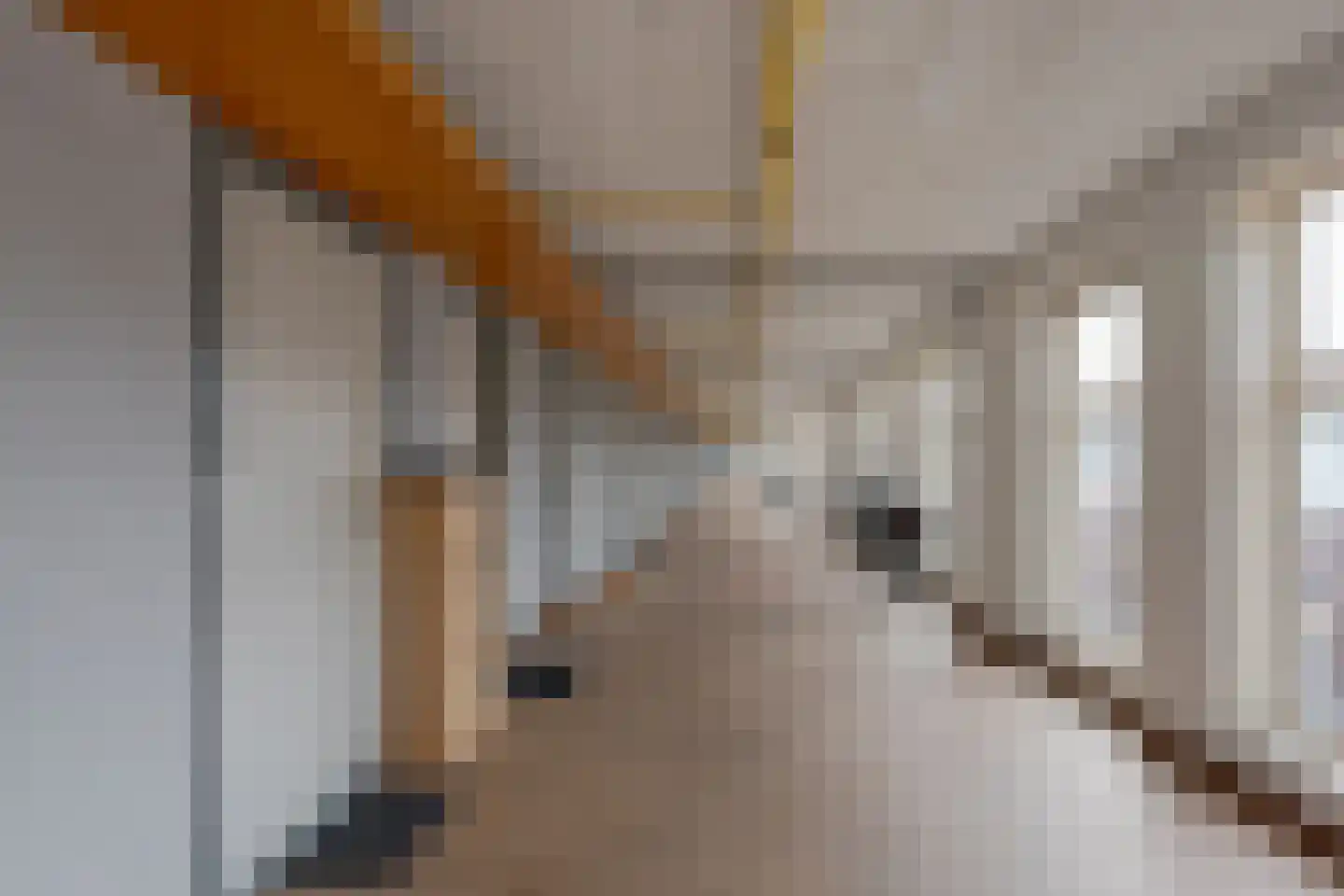 Beijerlandselaan 93 G Rotterdam thumbnail 8
