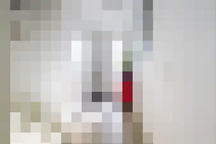 Beijerlandstraat 16 Tilburg thumbnail 7