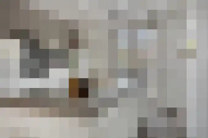 Beijerlandstraat 24 Tilburg thumbnail 10