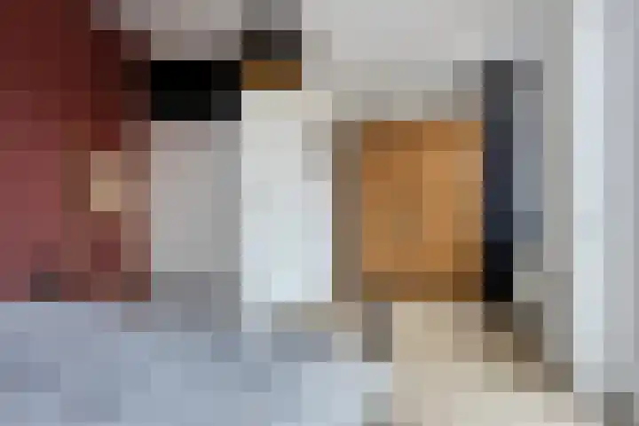 Beijerlandstraat 24 Tilburg thumbnail 15