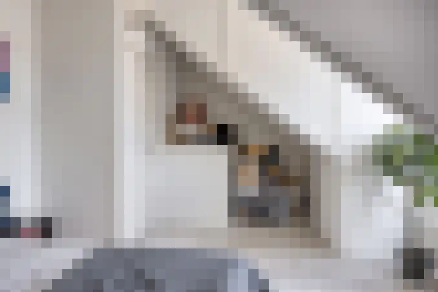 Beijerlandstraat 5 Tilburg thumbnail 25