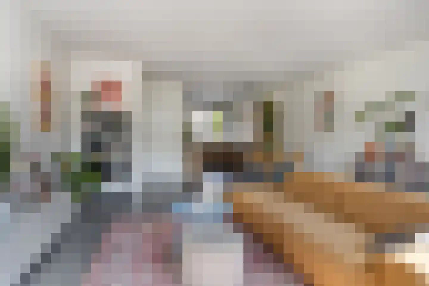 Beijerlandstraat 5 Tilburg thumbnail 4