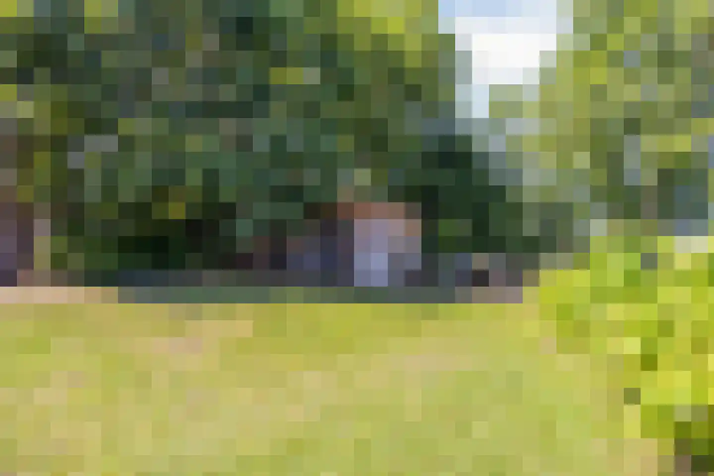 Beijerscheweg 10 a Stolwijk thumbnail 28