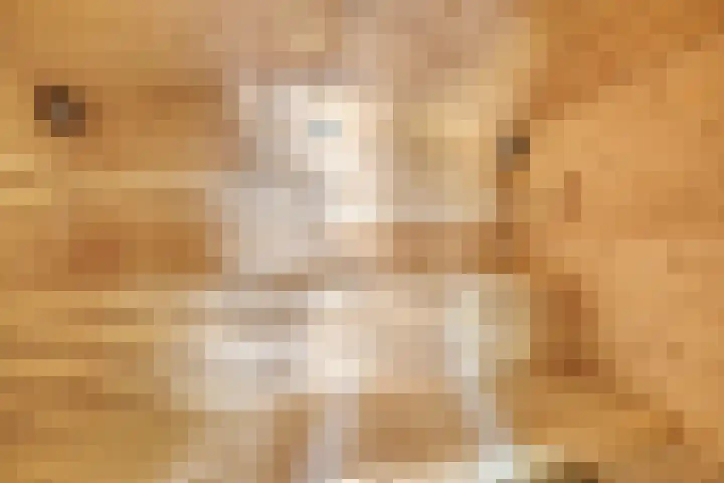 Beijerscheweg 10 a Stolwijk thumbnail 32