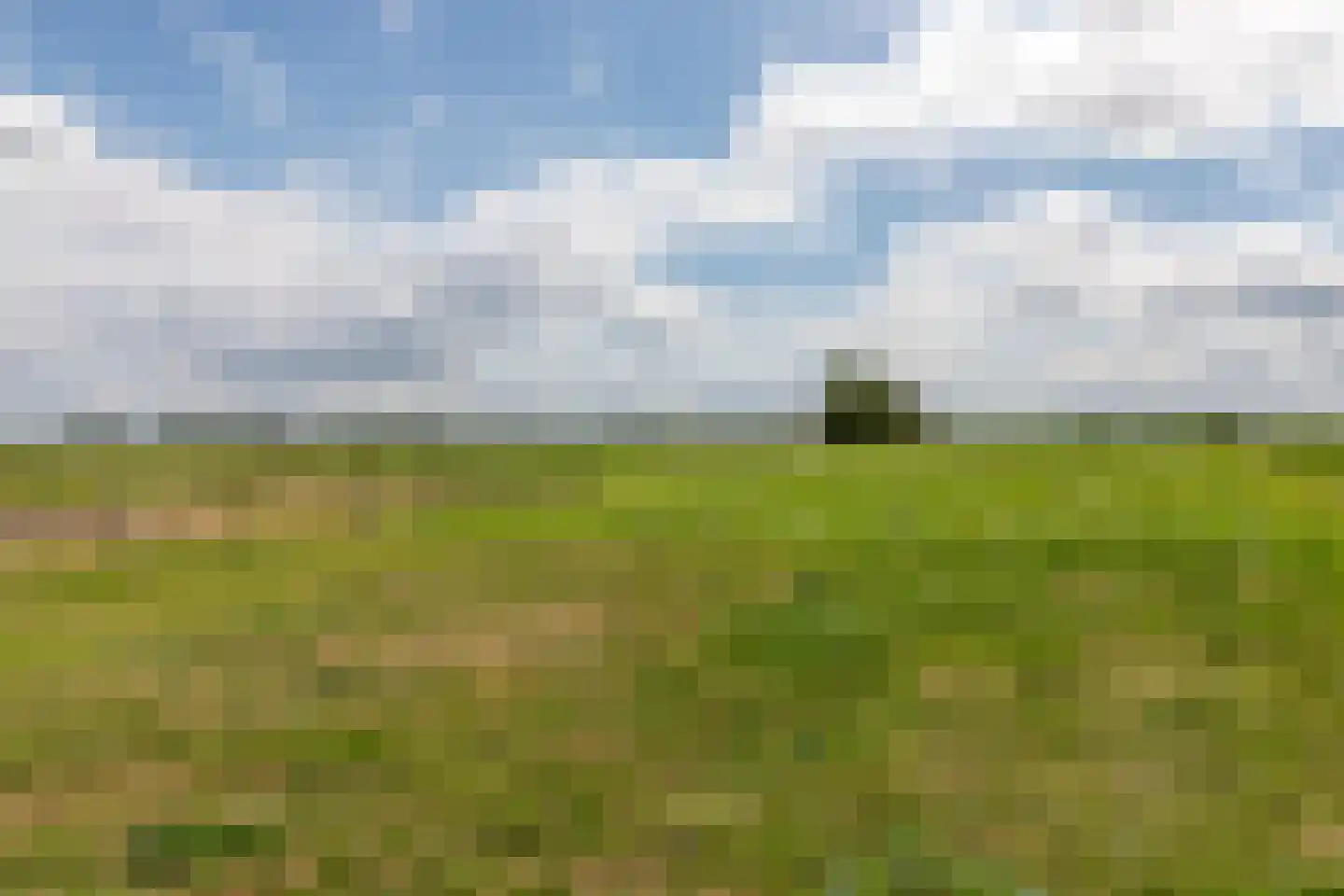 Beijerscheweg 23 Stolwijk thumbnail 14