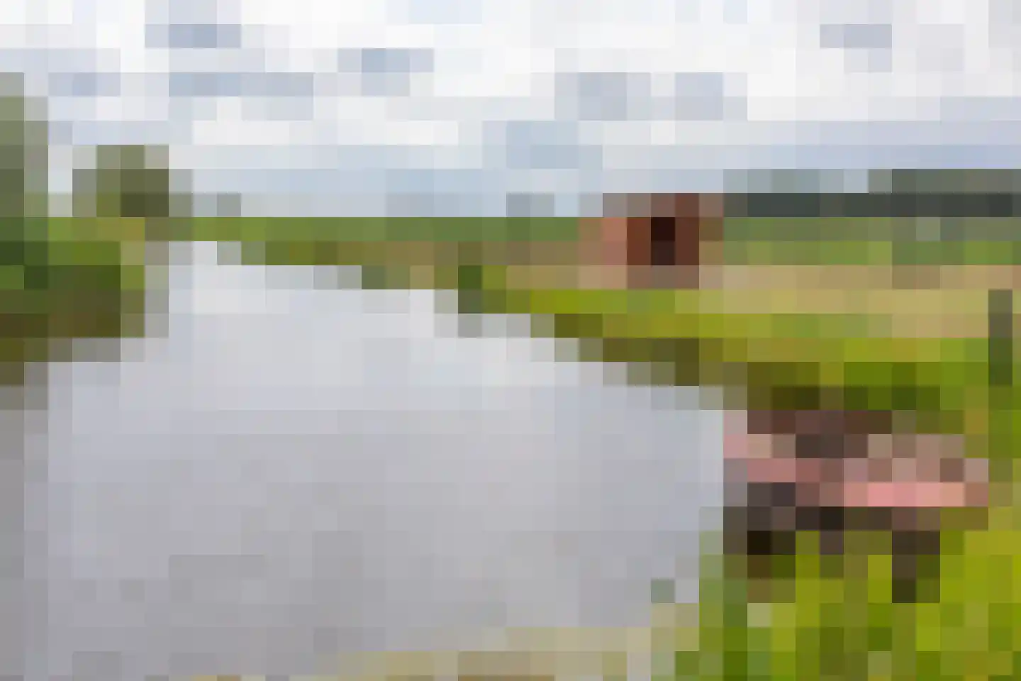 Beijerscheweg 23 Stolwijk thumbnail 16