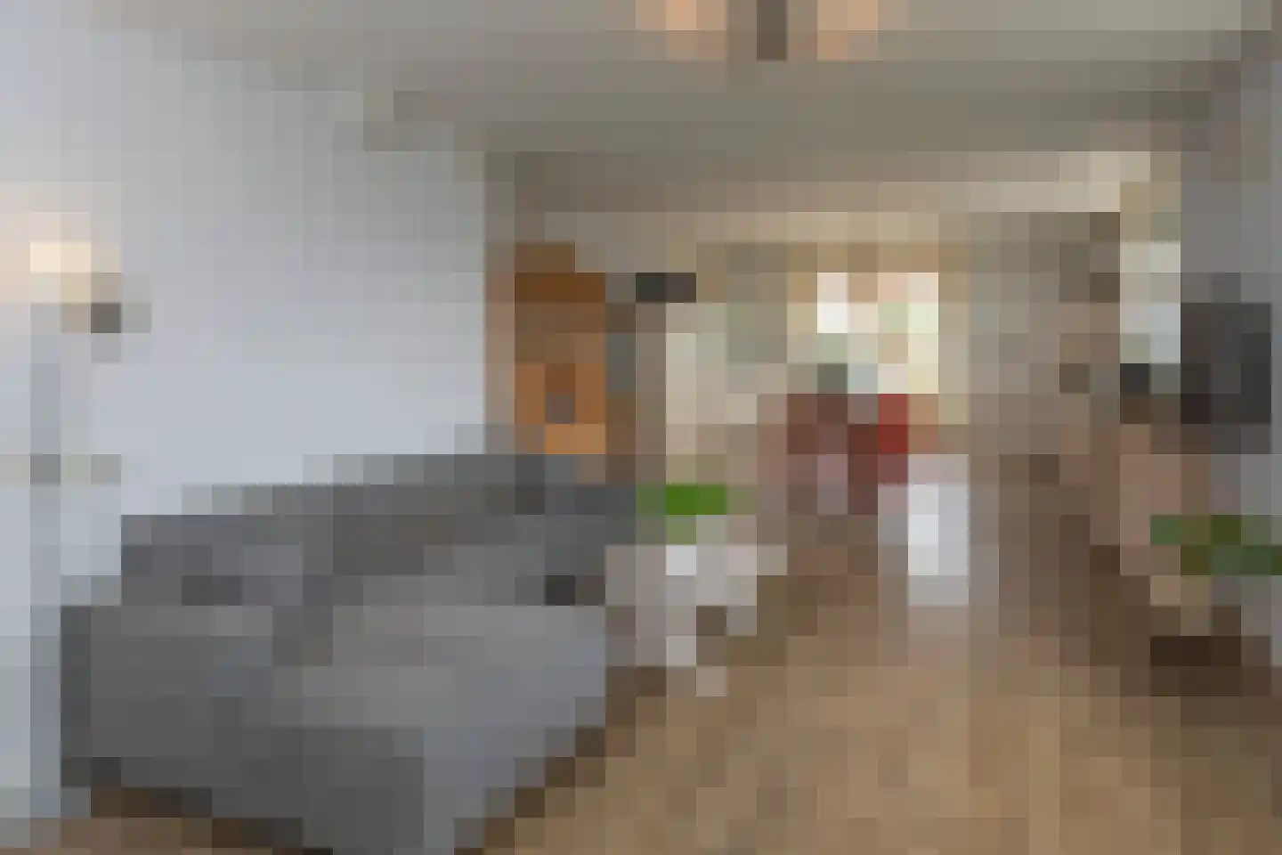 Beijerscheweg 23 Stolwijk thumbnail 21