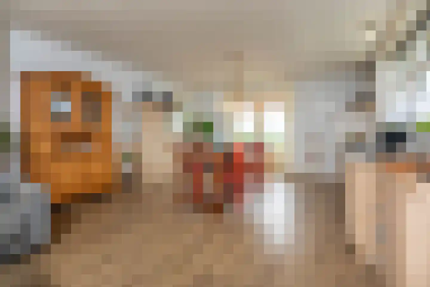 Beijerscheweg 23 Stolwijk thumbnail 23
