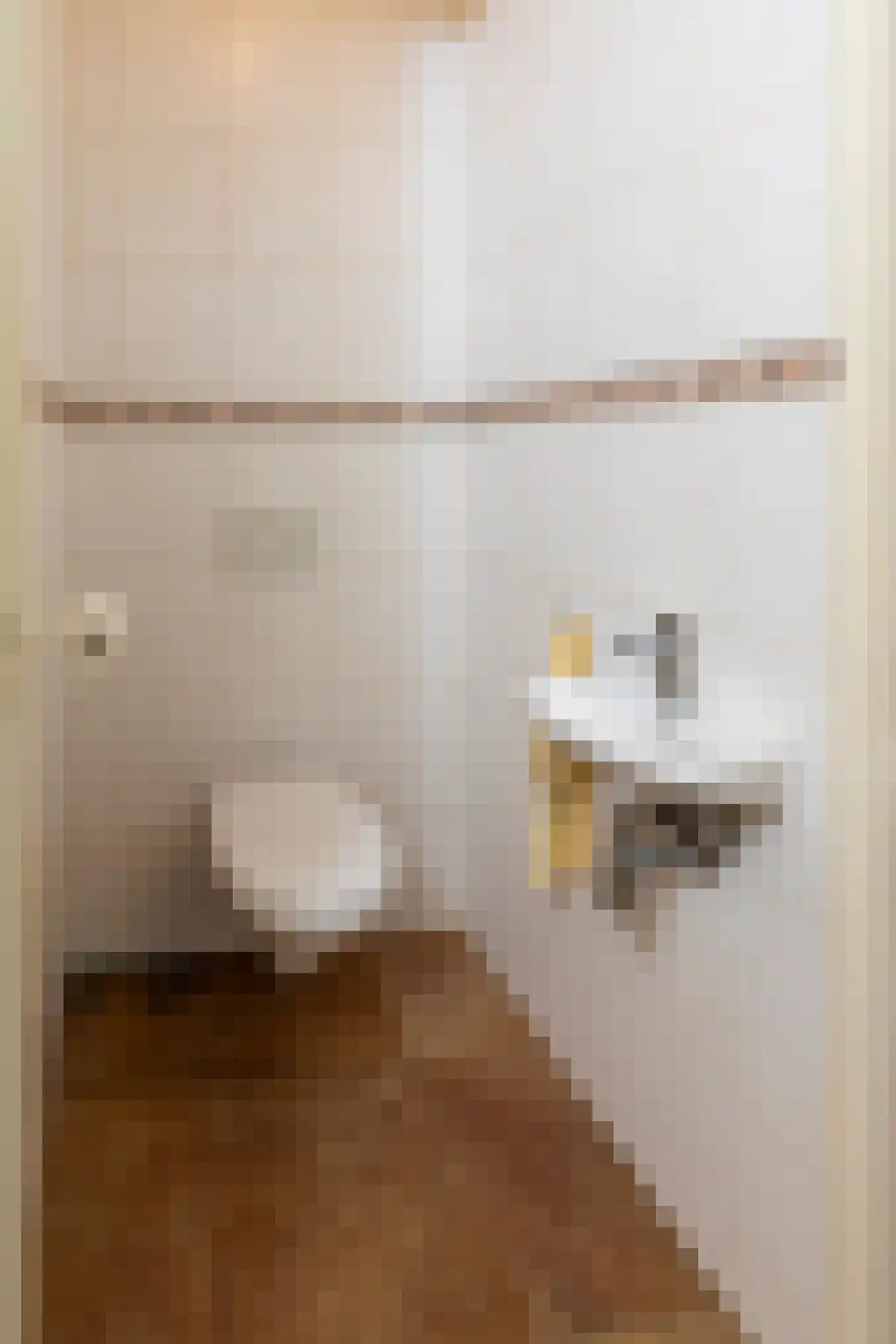 Beijerscheweg 23 Stolwijk thumbnail 33