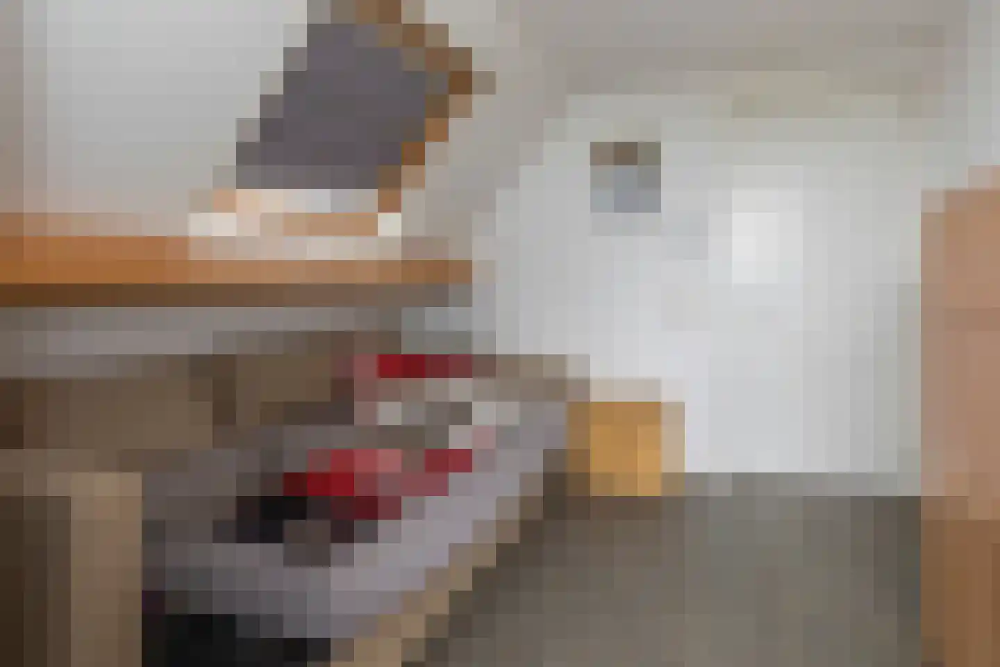 Beijerscheweg 23 Stolwijk thumbnail 41