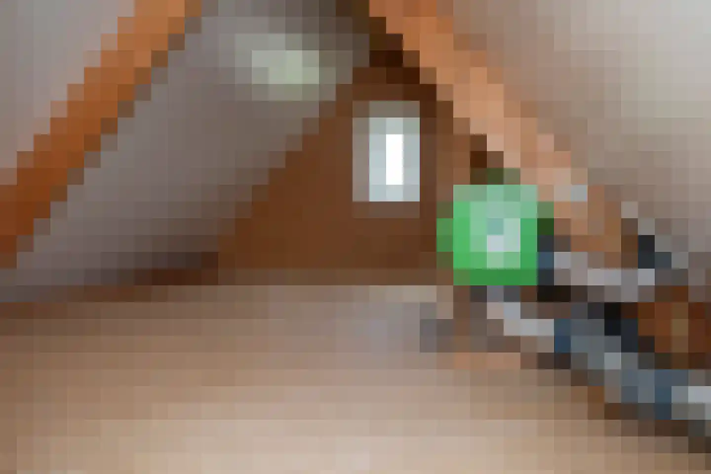 Beijerscheweg 23 Stolwijk thumbnail 45