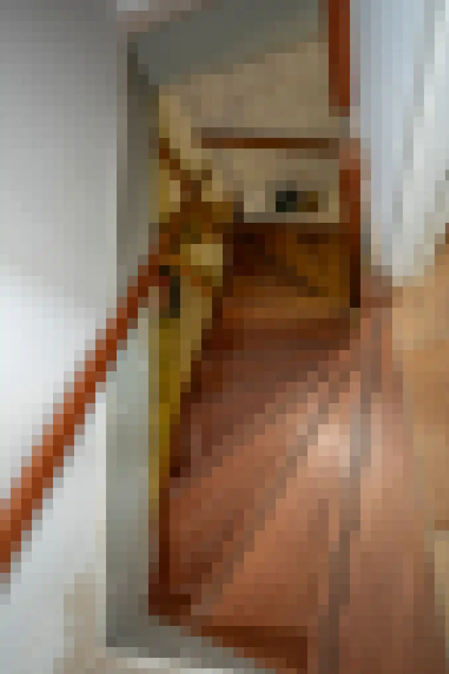 Beijerscheweg 23 Stolwijk thumbnail 46