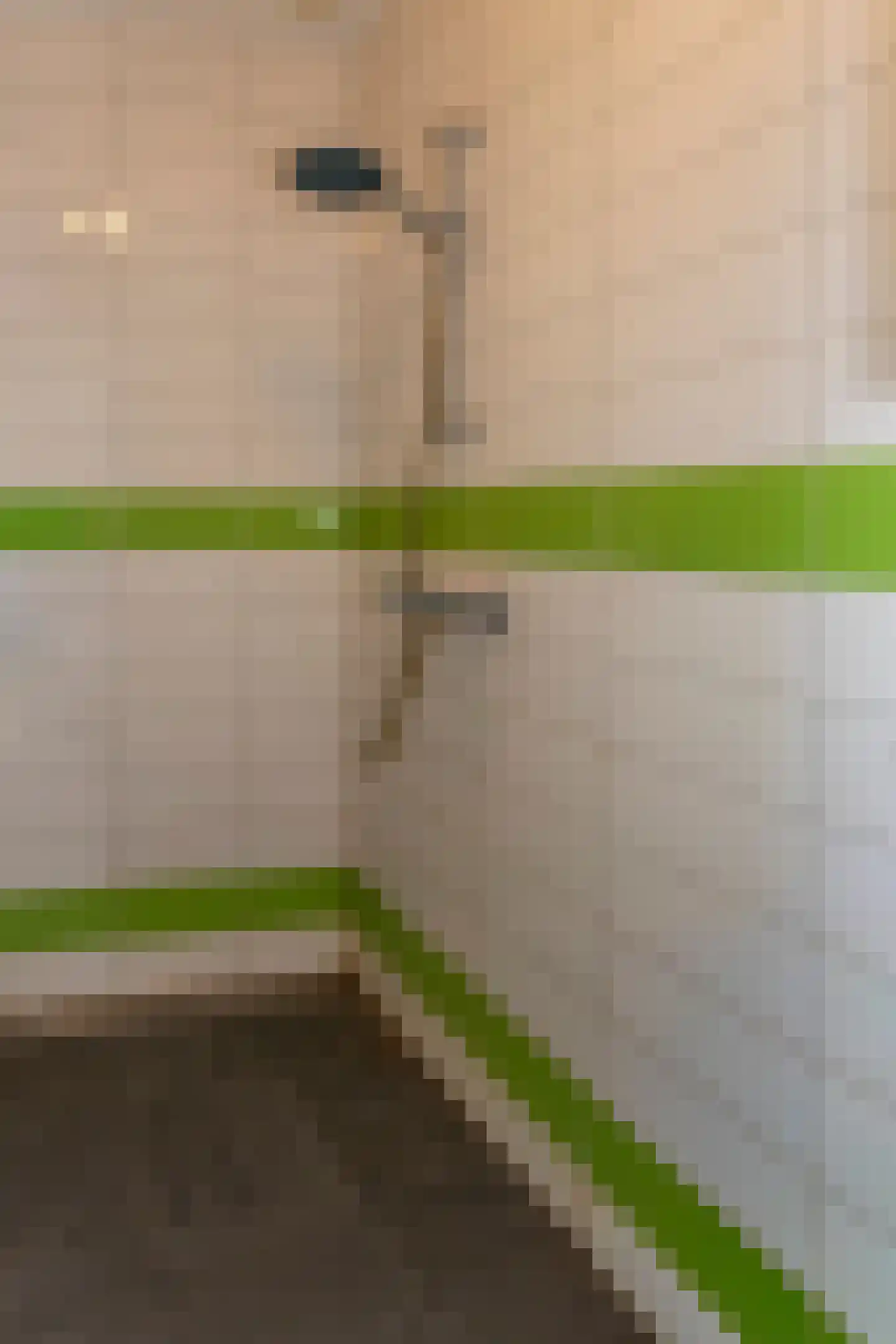 Beijerscheweg 23 Stolwijk thumbnail 50