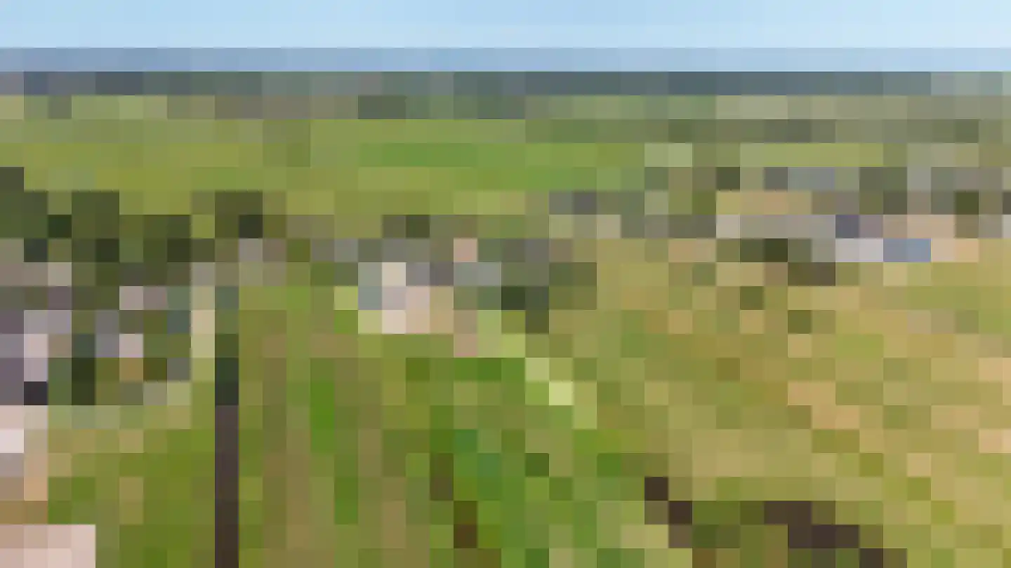 Beijerscheweg 23 Stolwijk thumbnail 62