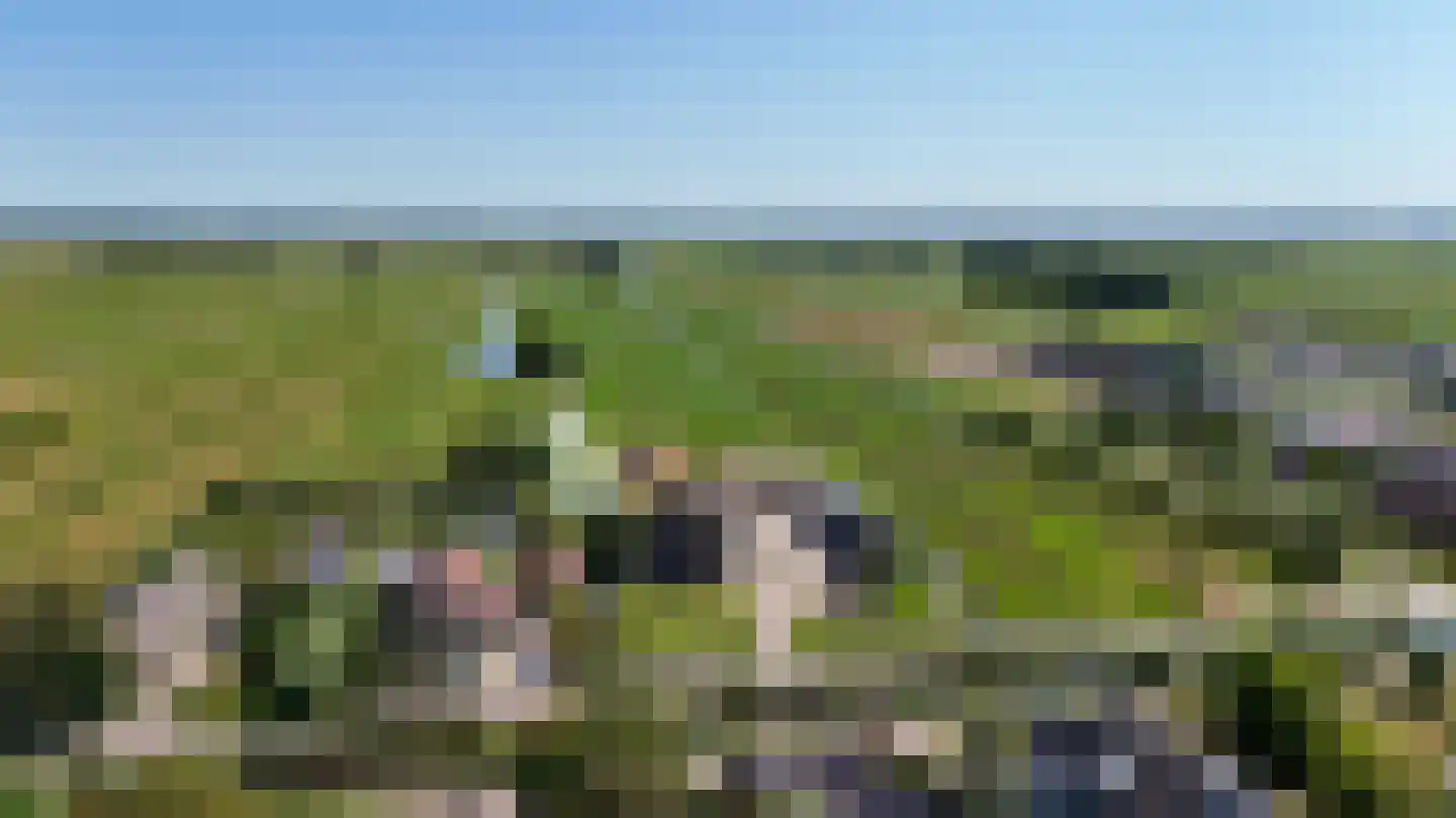 Beijerscheweg 23 Stolwijk thumbnail 63