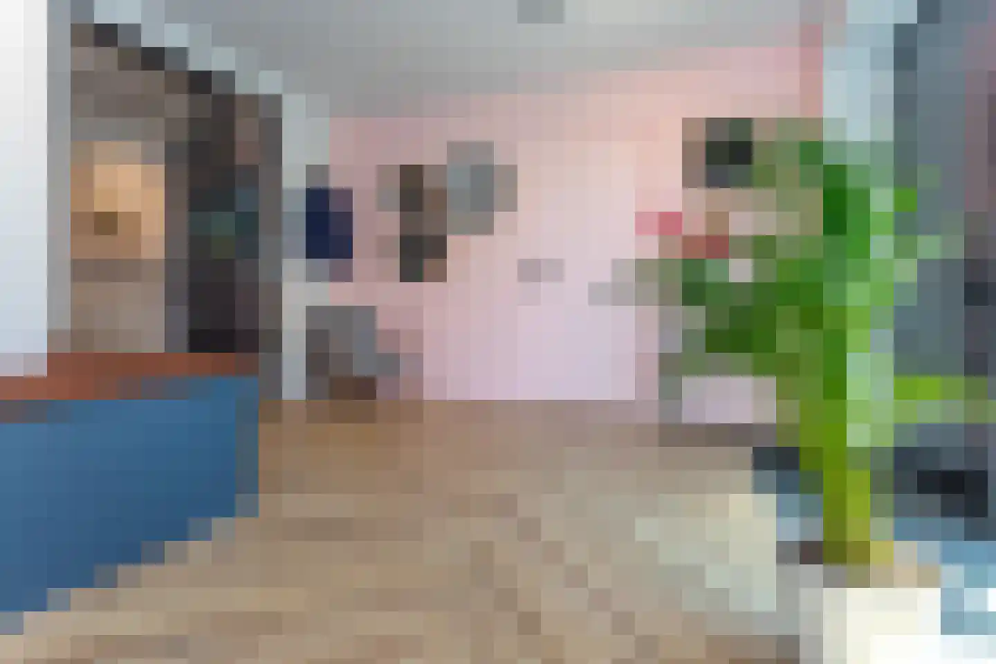 Beijerscheweg 65 a Stolwijk thumbnail 14