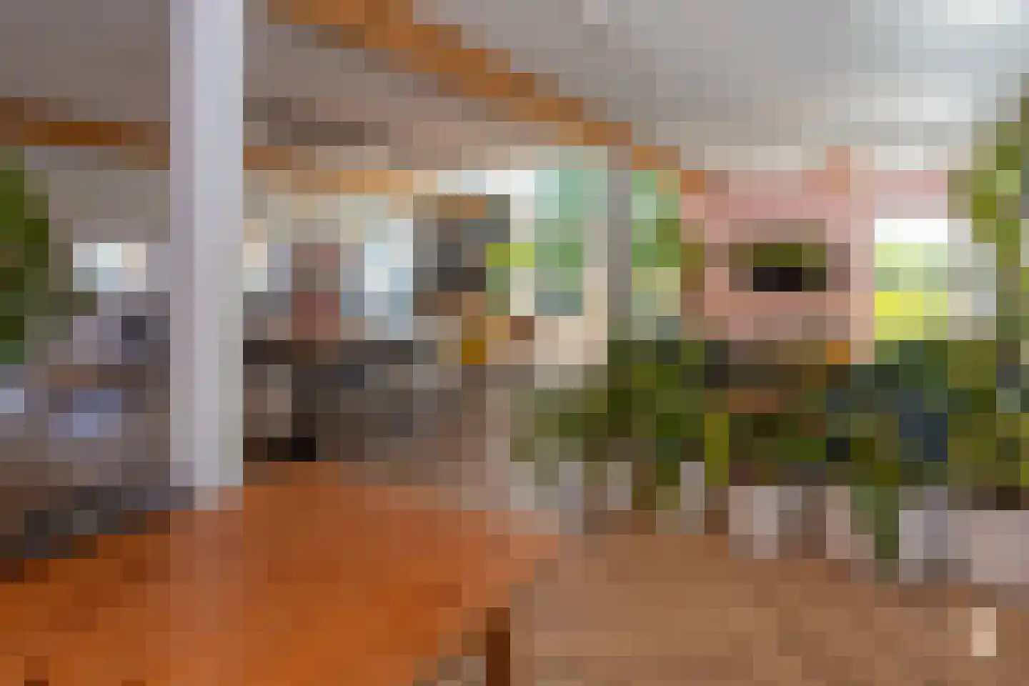Beijerscheweg 65 a Stolwijk thumbnail 22