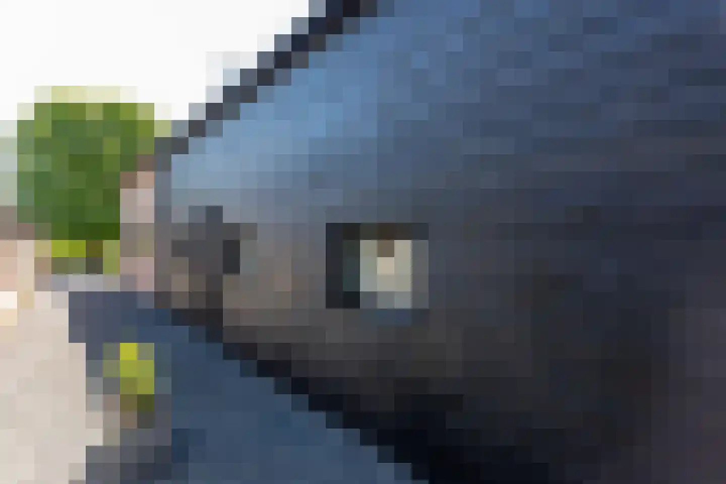 Beijerscheweg 65 a Stolwijk thumbnail 46
