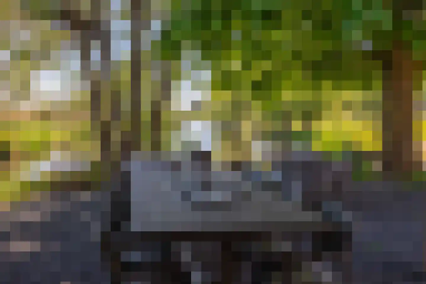 Beijerscheweg 65 a Stolwijk thumbnail 5