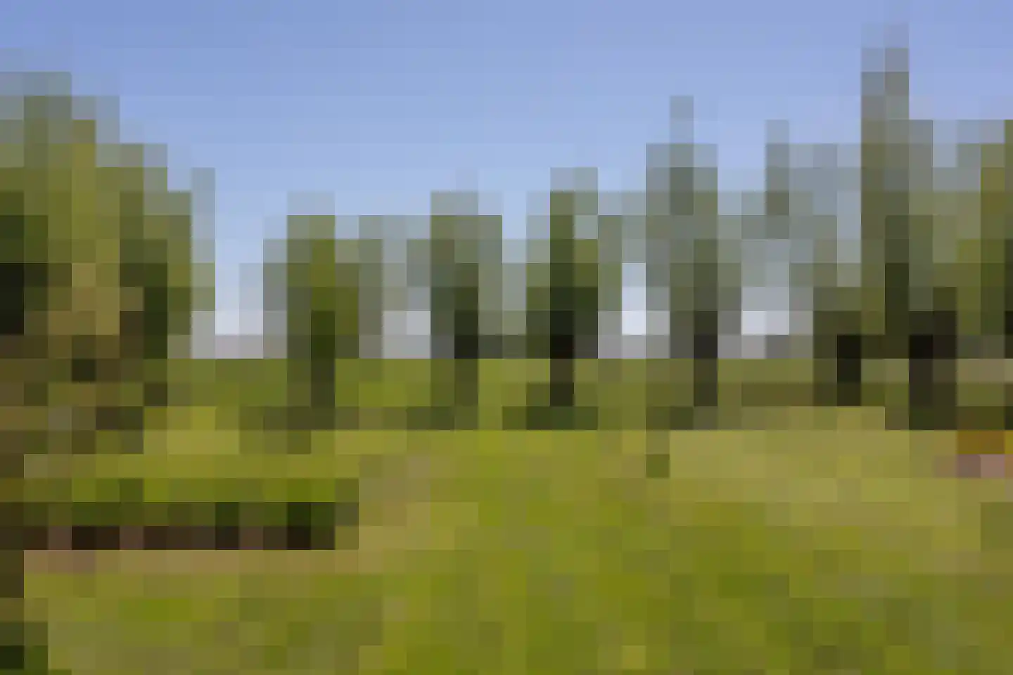 Beijerscheweg 65 a Stolwijk thumbnail 50