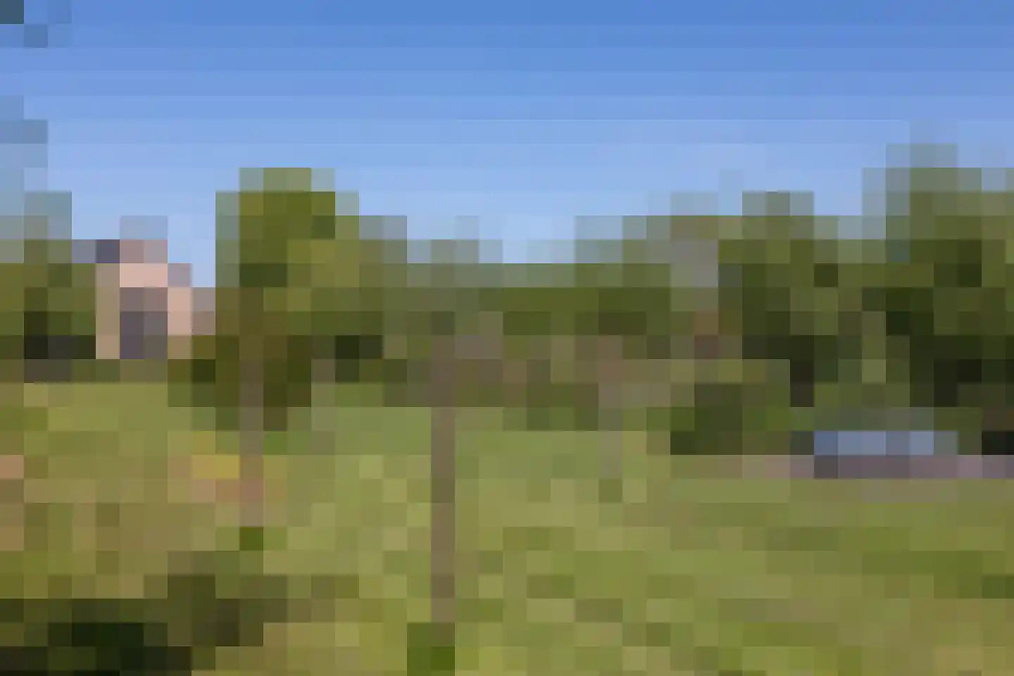 Beijerscheweg 65 a Stolwijk thumbnail 51