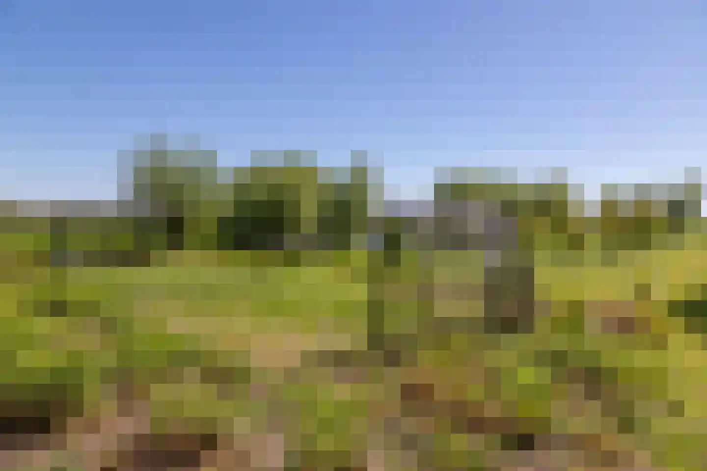 Beijerscheweg 65 a Stolwijk thumbnail 52