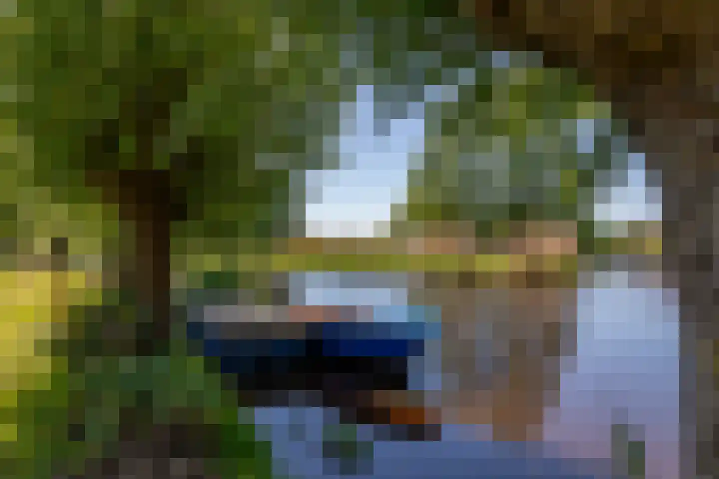 Beijerscheweg 65 a Stolwijk thumbnail 53