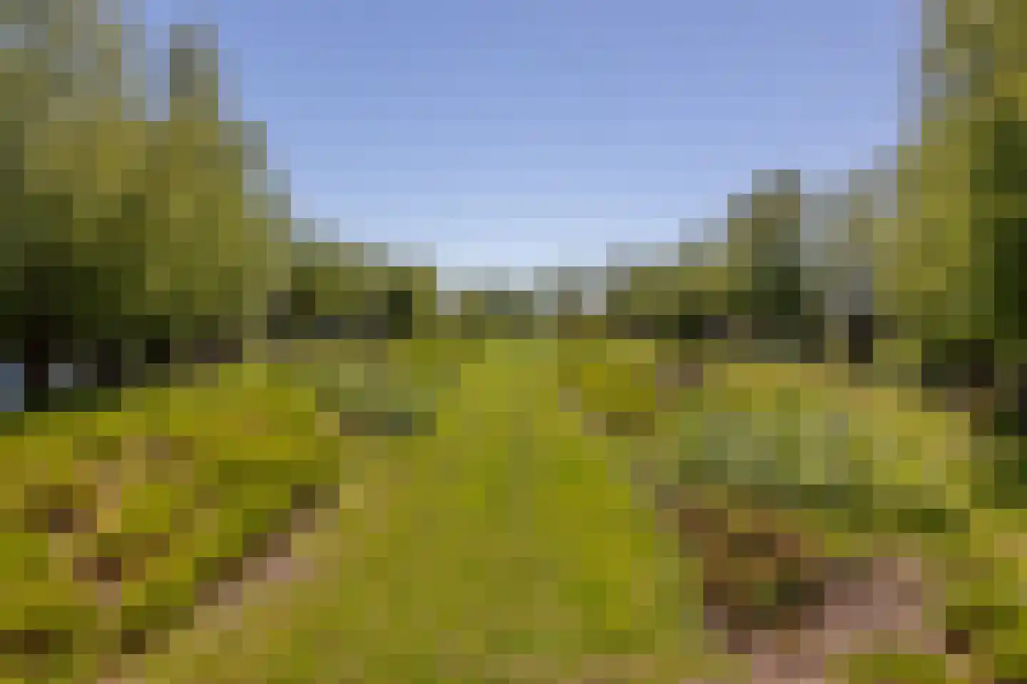 Beijerscheweg 65 a Stolwijk thumbnail 54
