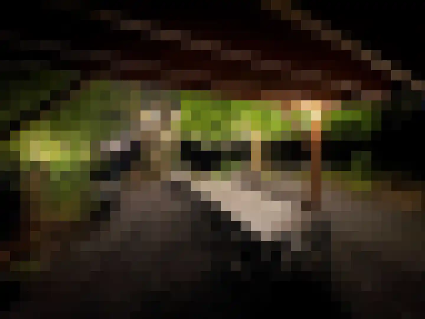Beijerscheweg 65 a Stolwijk thumbnail 61