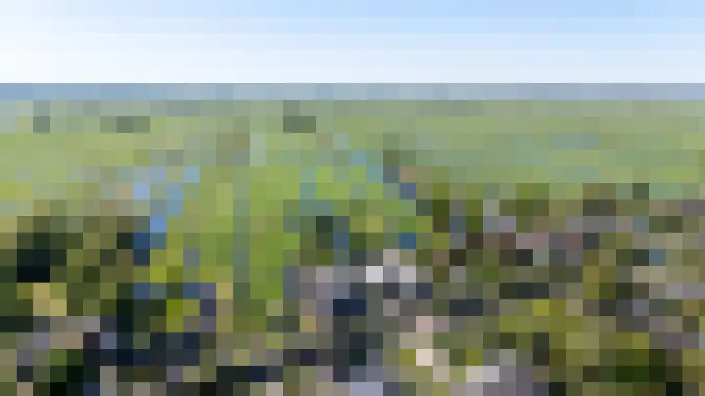 Beijerscheweg 65 a Stolwijk thumbnail 8