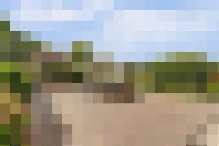 Beijerscheweg 95 Stolwijk thumbnail 62