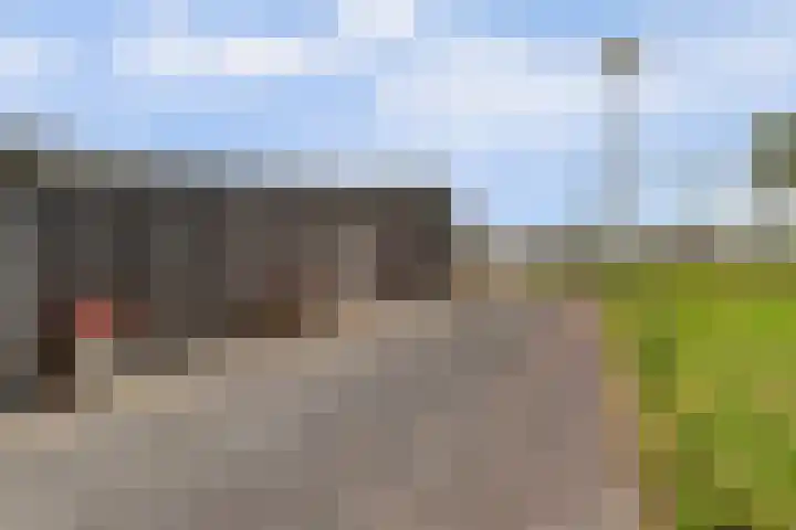 Beijerscheweg 95 Stolwijk thumbnail 67