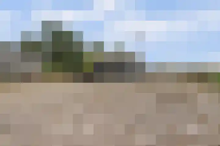 Beijerscheweg 95 Stolwijk thumbnail 70