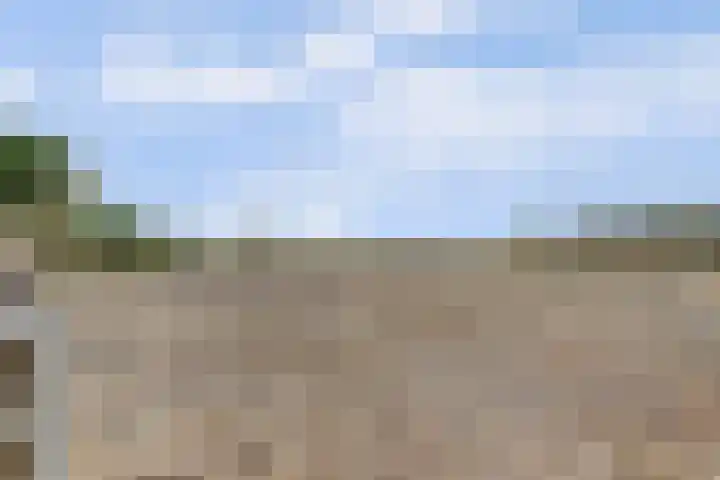 Beijerscheweg 95 Stolwijk thumbnail 71