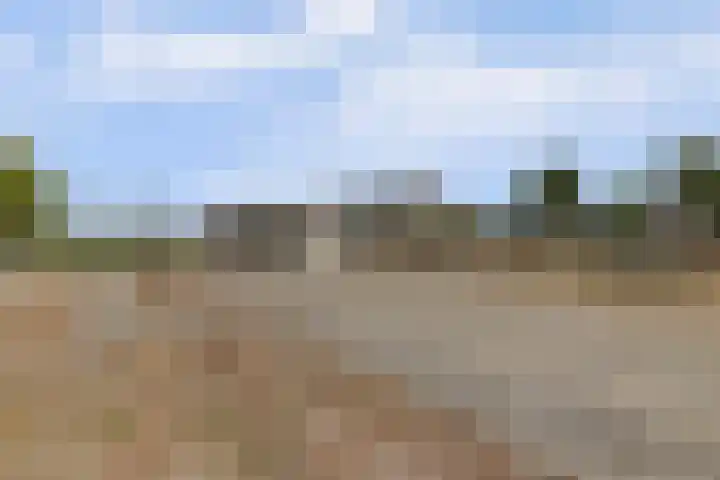 Beijerscheweg 95 Stolwijk thumbnail 74